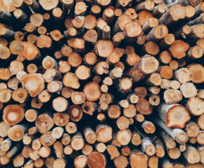 За поредна година Община Сливен предоставя дърва за огрев на хора в неравностойно положение      
